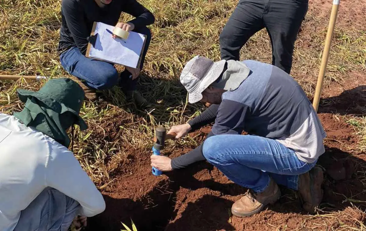 Estudo em solos arenosos do Paraná aponta terraço como escudo contra erosão
