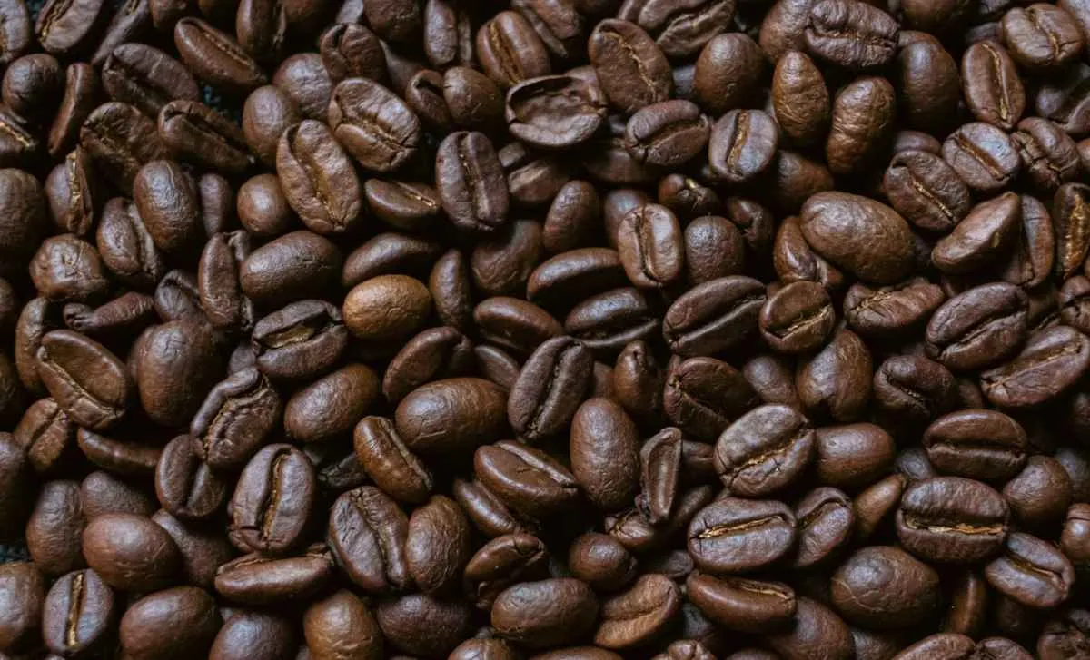 EUA isentam cafés do Brasil de tarifa de 25% e entidades comemoram