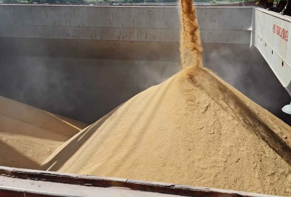 Exportações de arroz sobem mais de 80% e puxam alta dos preços