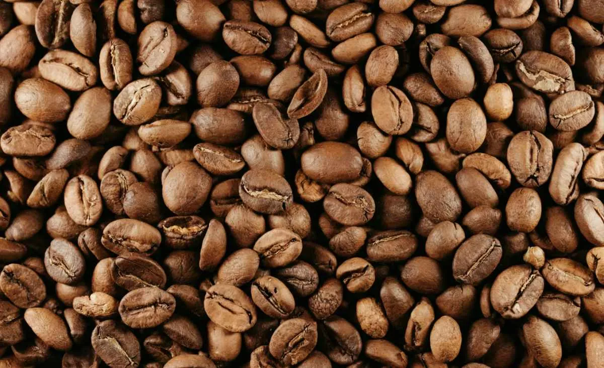 Cafés especiais do Brasil miram US$ 252 milhões em negócios na Europa