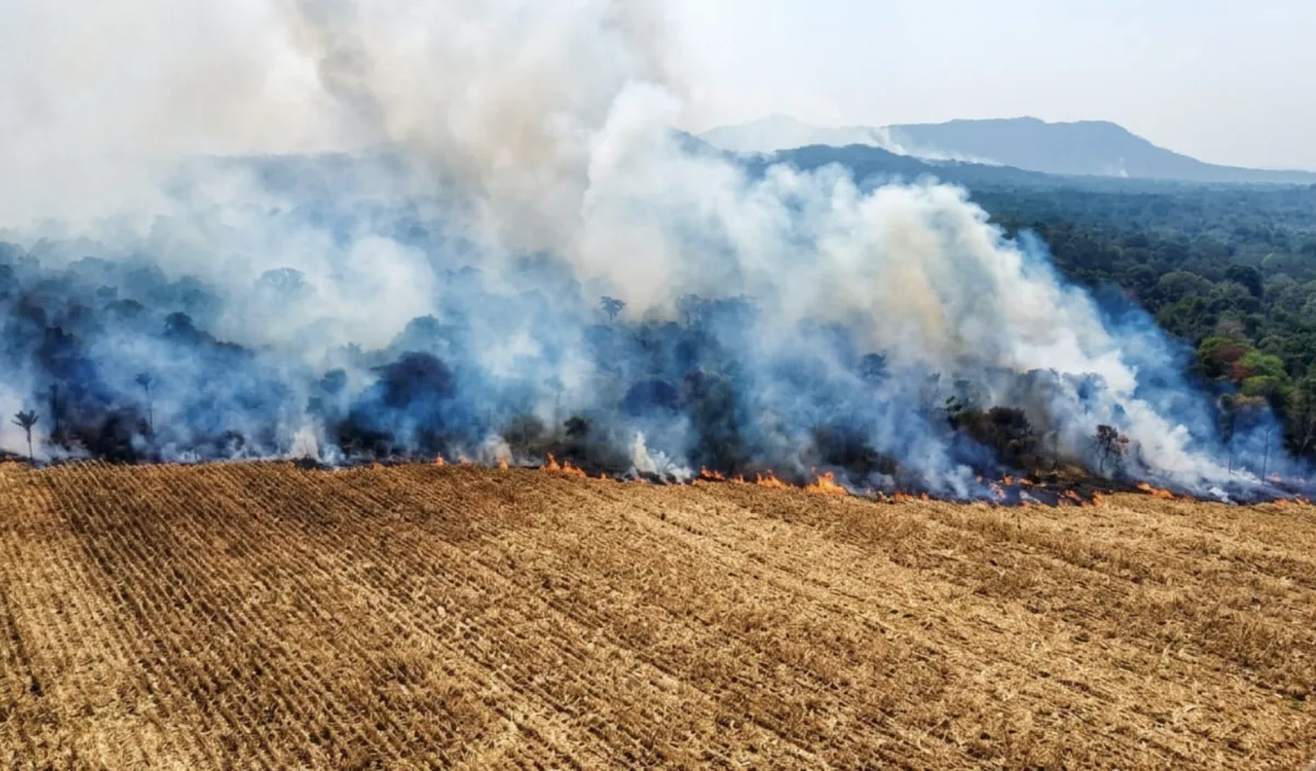 Famato orienta produtores sobre incêndios nas fazendas
