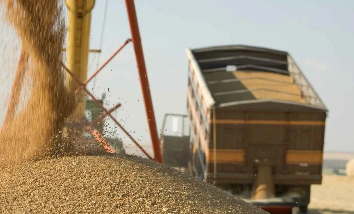 Falta de armazéns e diesel caro travam comercialização da safra