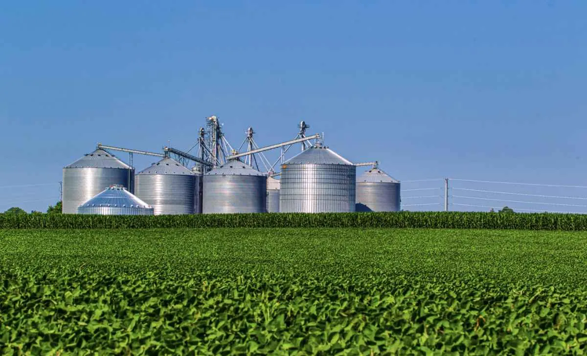 VBP do agro é estimado em R$ 1,4 trilhão em junho