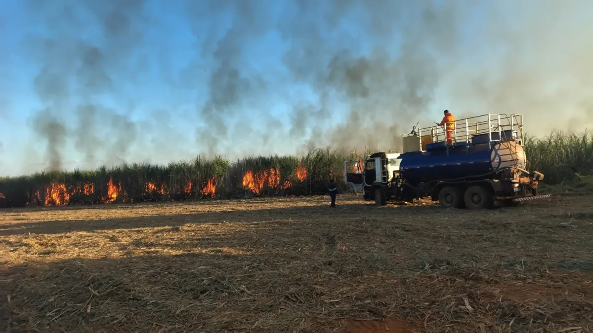 Incêndios florestais provocam estado de emergência ambiental em Goiás