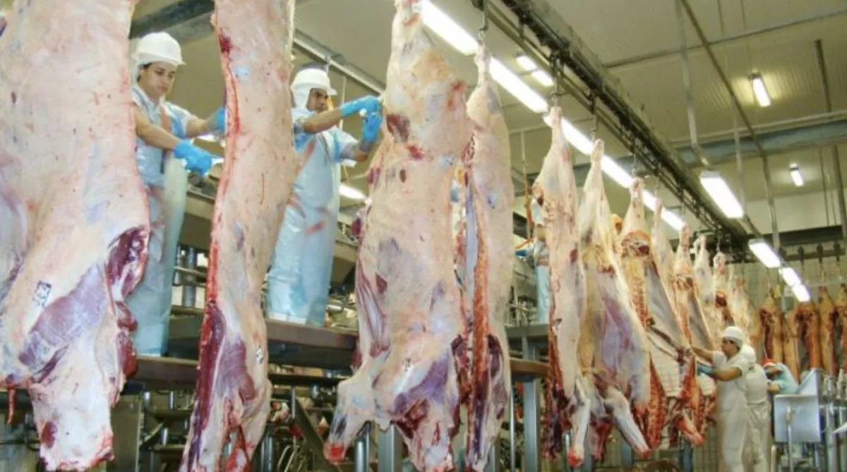 Tarifa dos EUA tem impacto reduzido no agro de MS