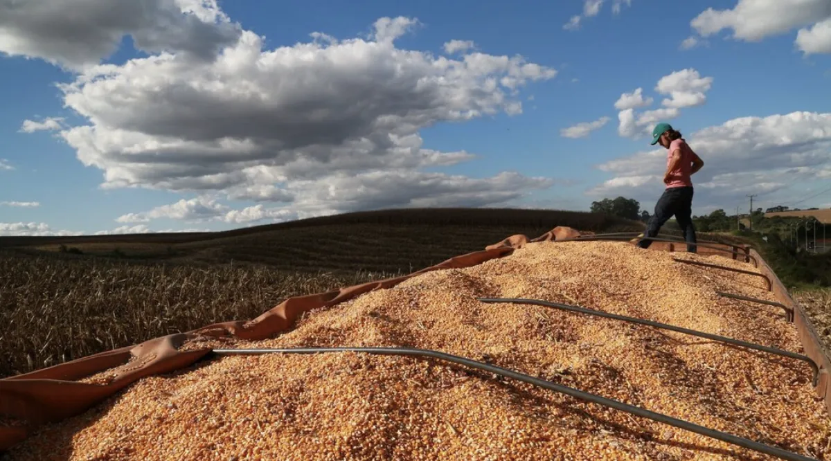 SC busca milho no Paraguai para suprir déficit de 6 milhões de t 