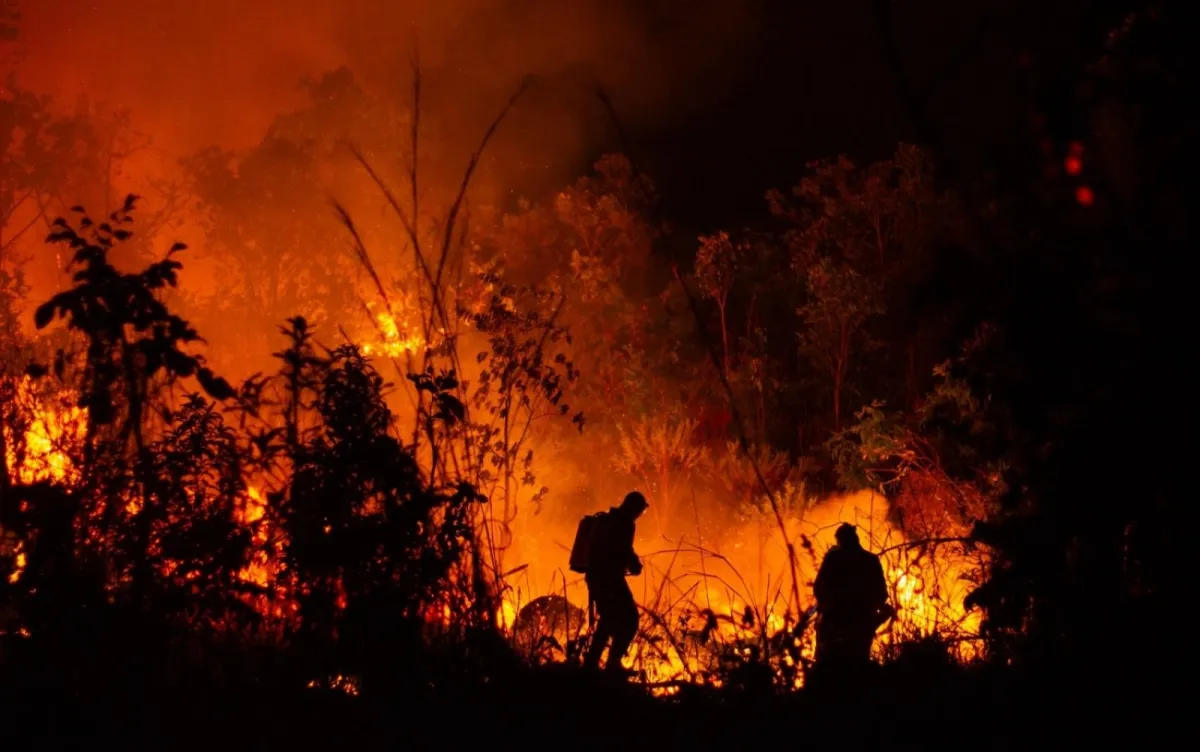 Estiagem e calor extremo disparam queimadas e ameaçam pecuária em GO