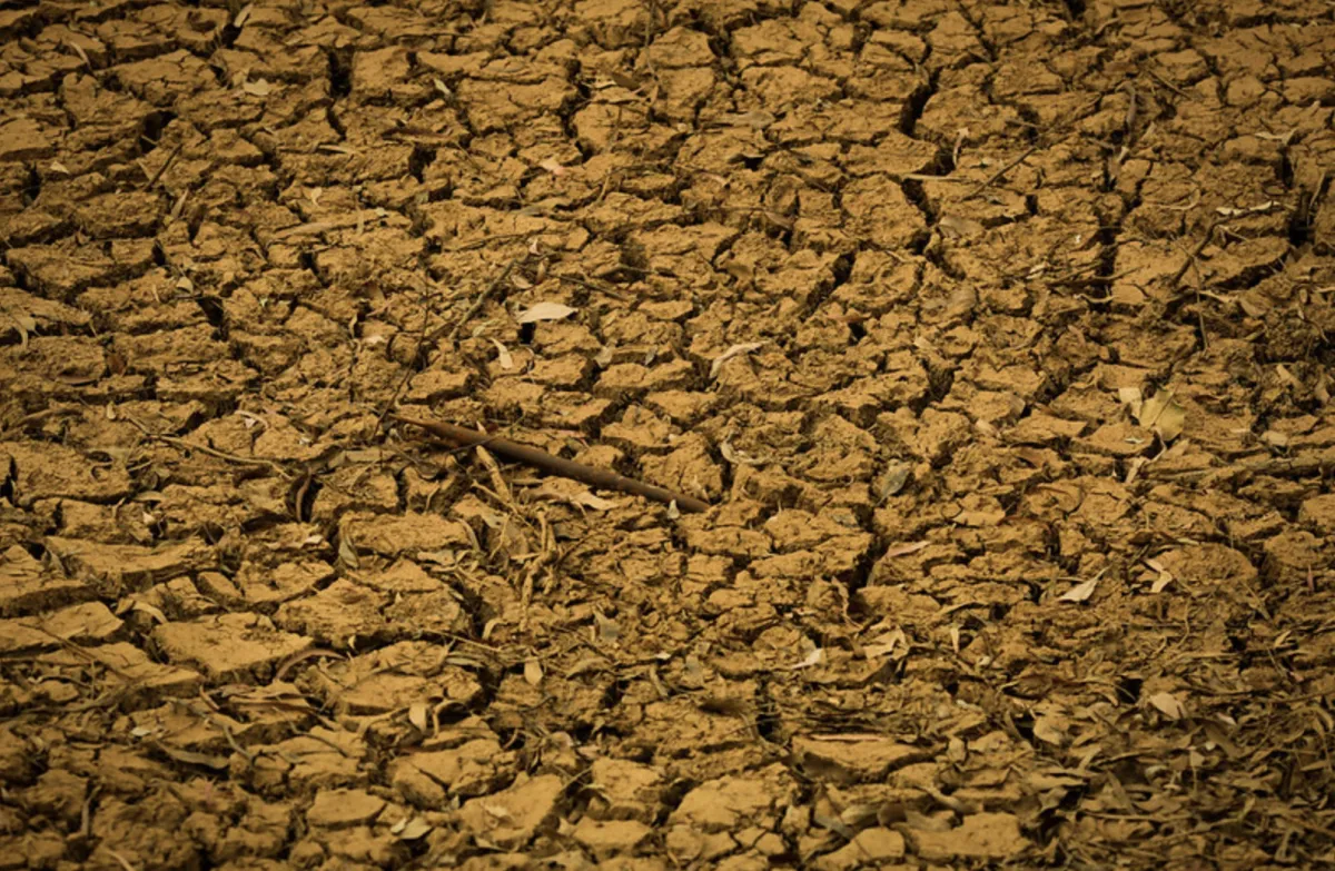 Volume liberado para renegociação de dívidas cobre apenas 13% do passivo rural