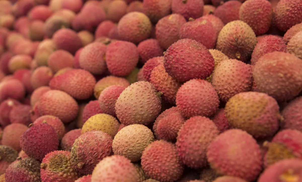 SP produz 80% da lichia do Brasil e amplia exportações à Europa