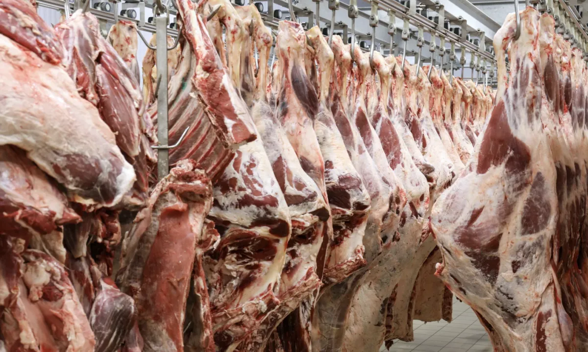 Isenção tarifária nos EUA abre mercado para 120 mil toneladas de carne do Brasil