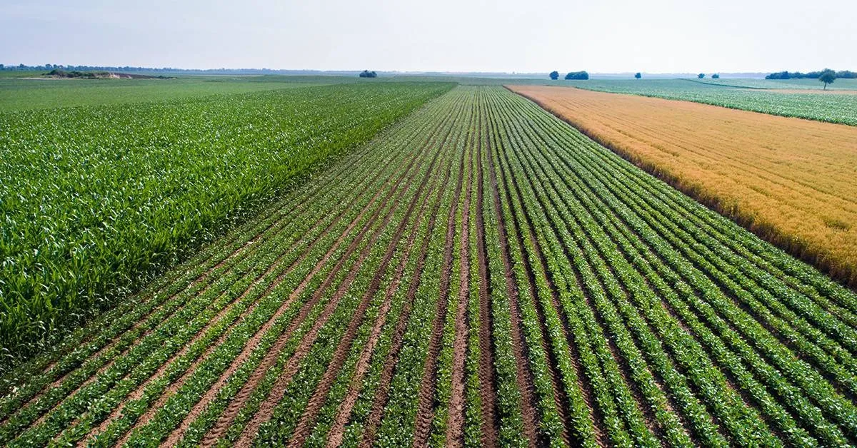 Abertura de safra da Datagro debate bioinsumos e clima em Goiânia