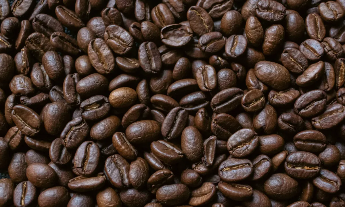 Colheita de café arábica avança no país sob impacto de chuvas