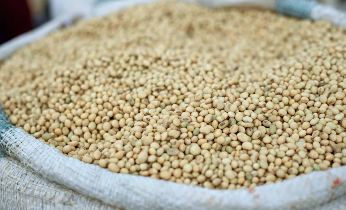 Clima, corte na oferta e geopolítica ditam rumo das commodities