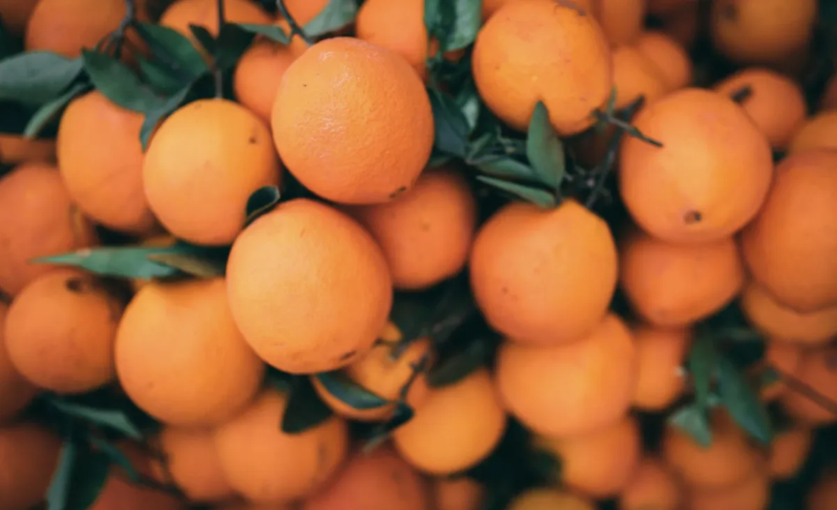 Governo libera R$ 10 mi em leilões para sustentar preço da laranja