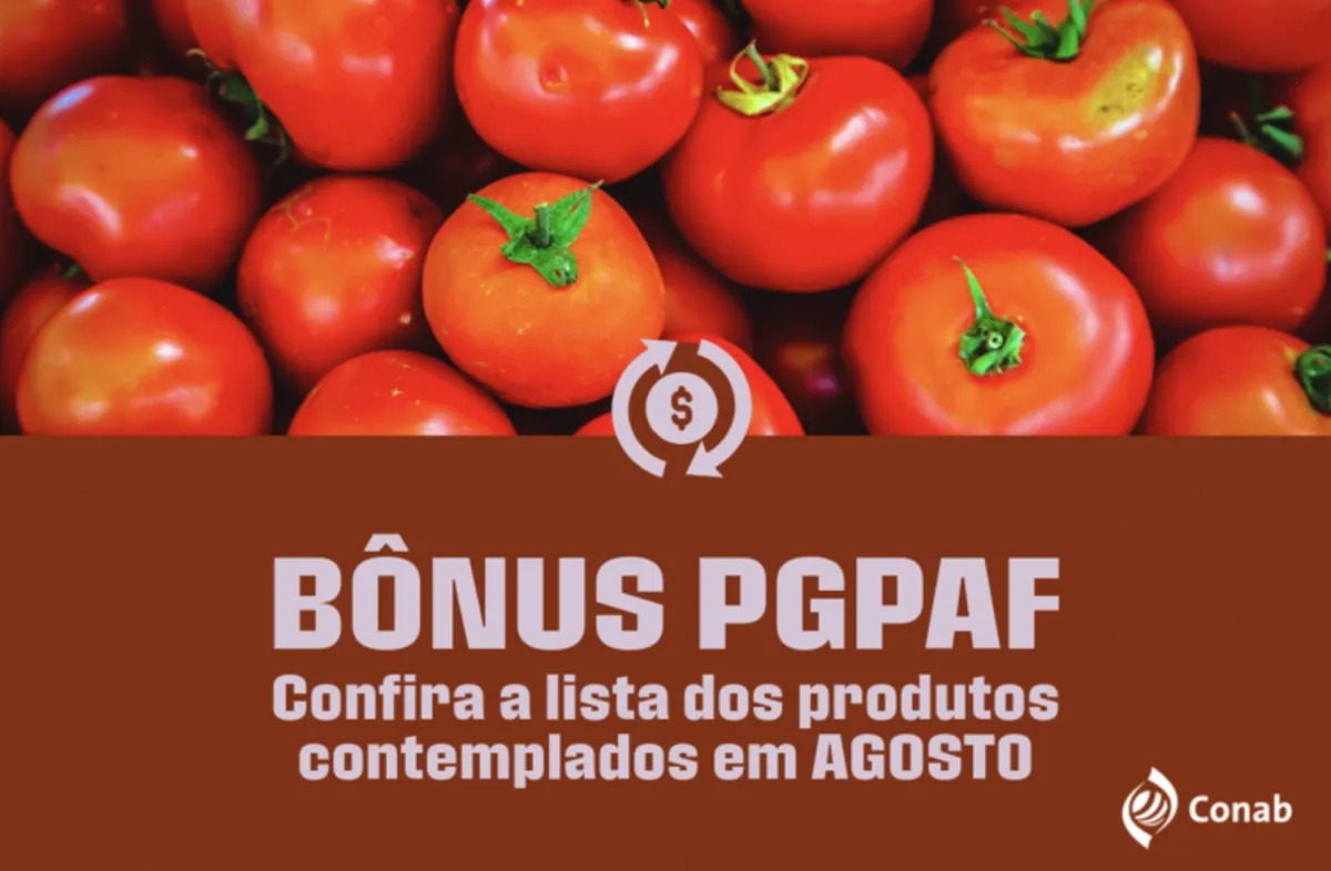 Tomate entra na lista do PGPAF em agosto e garante desconto no Pronaf