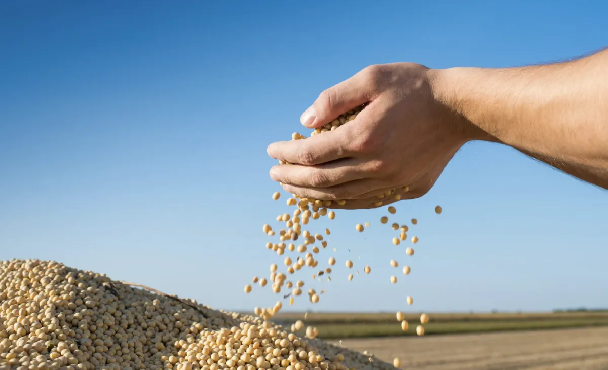Relatório do USDA traz alta na safra dos EUA e ajustes no balanço global