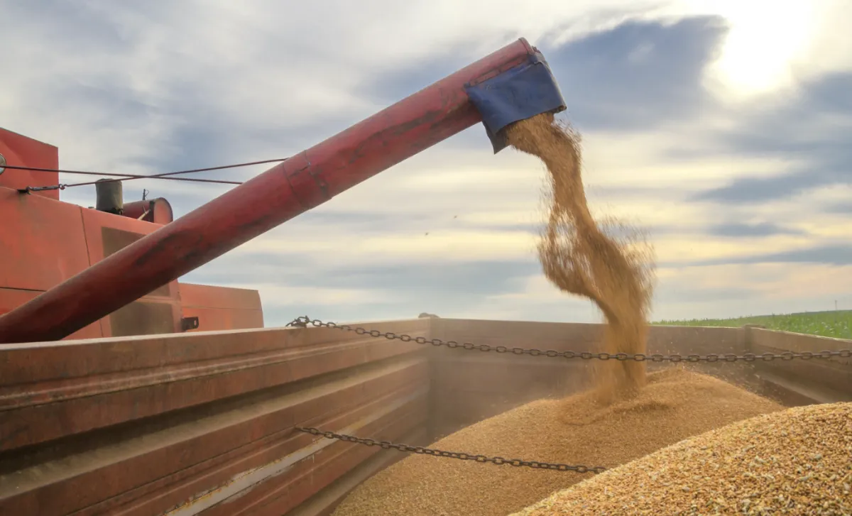 Após salto em 2025, PIB do agro recua 2% e perde fatia na economia