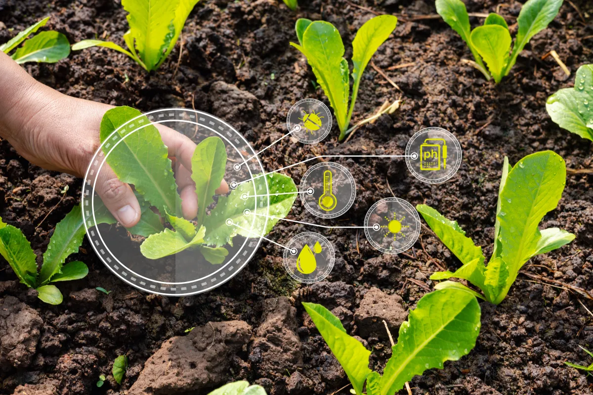 Fórum de Bioinsumos debate futuro de mercado que movimentou R$ 6,2 bi