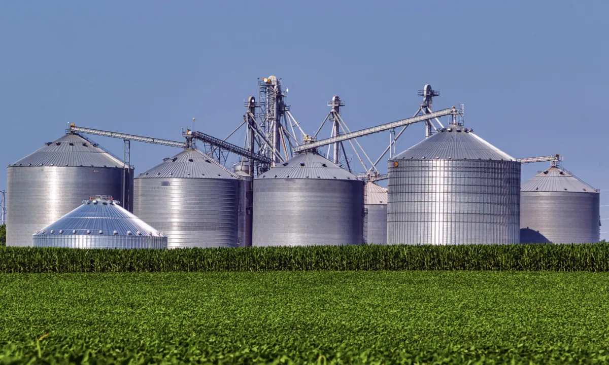 Produção da agroindústria recua 0,9% em junho puxada por insumos e têxteis