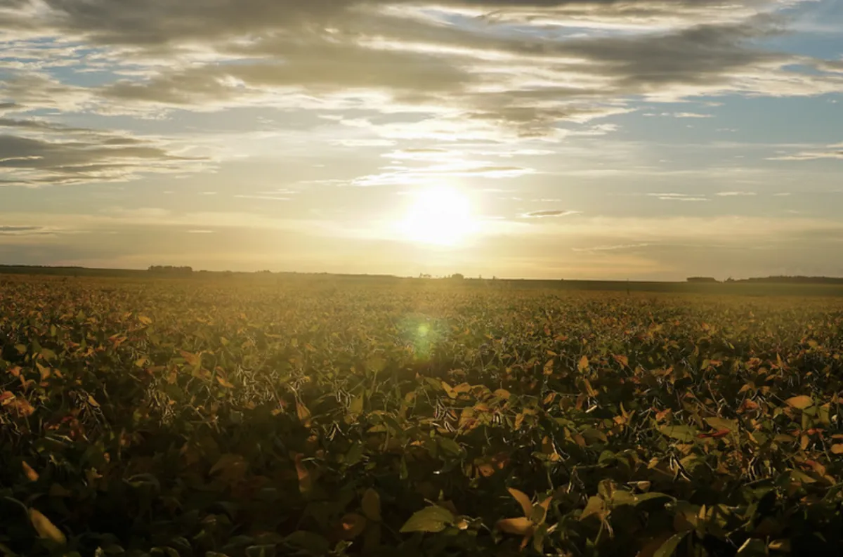 Prorrogação de dívida rural previne juros altos e perda de garantias