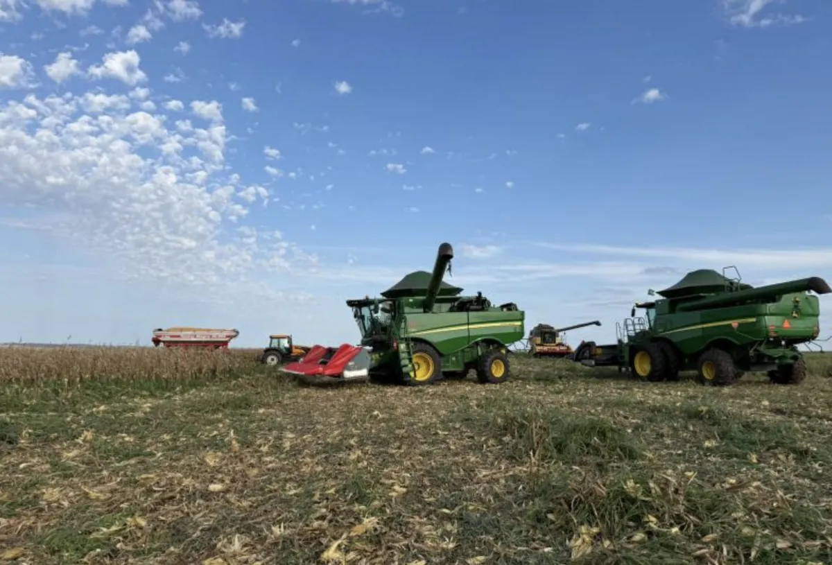 USDA corta estoques de milho e cenário dá sustentação aos preços em MS