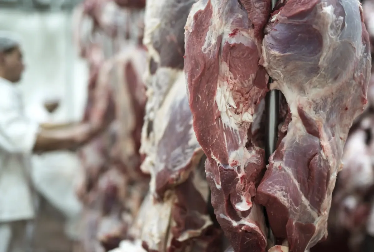 Carne bovina de MT atinge 88 destinos e receita salta 63% no 1º semestre