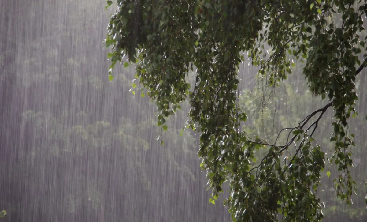 Previsão do fim de semana tem chuva no Sul e ar seco no país