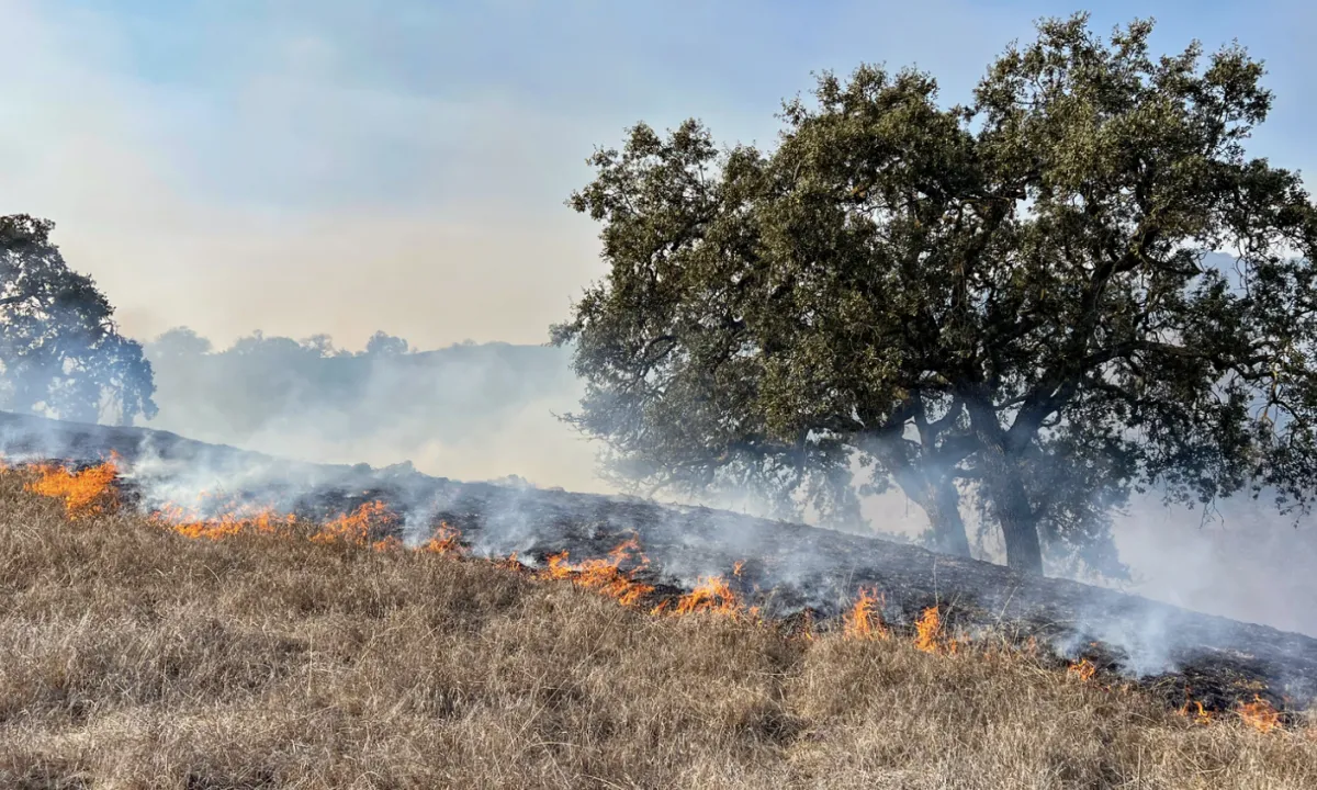 Calor e baixa umidade elevam alerta contra queimadas no campo em SP