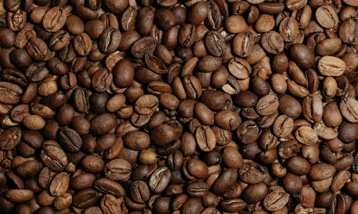 Queda em tarifas nos EUA e avanço da colheita devem acelerar café