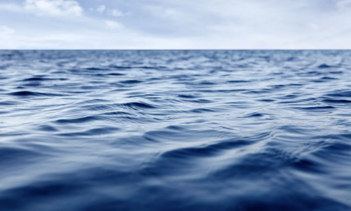 Instituto de Pesca avalia impacto de microplásticos na água e peixes