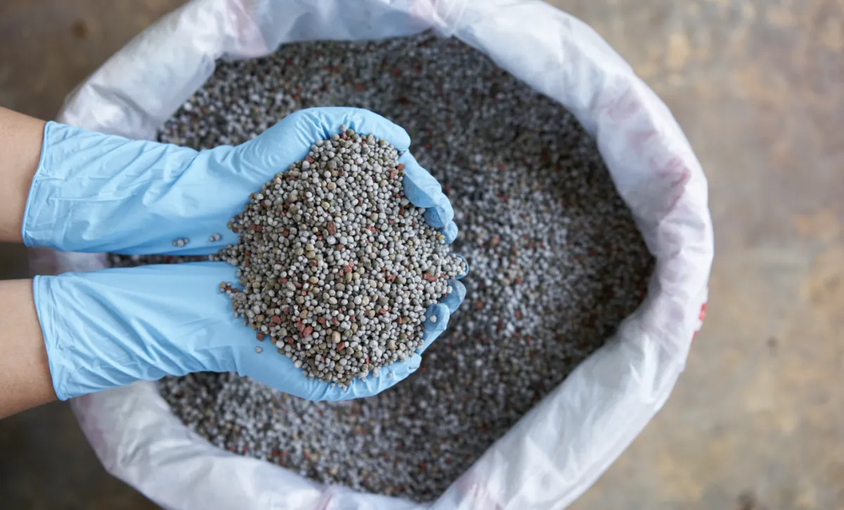 Queda dos fertilizantes melhora relação de troca no agro