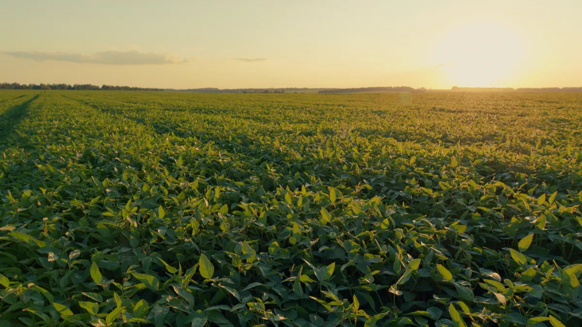 Área tratada com defensivos agrícolas cresce 5% no primeiro semestre de 2026