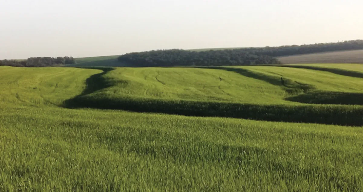 Manejo conservacionista do solo blinda lavouras contra enxurradas