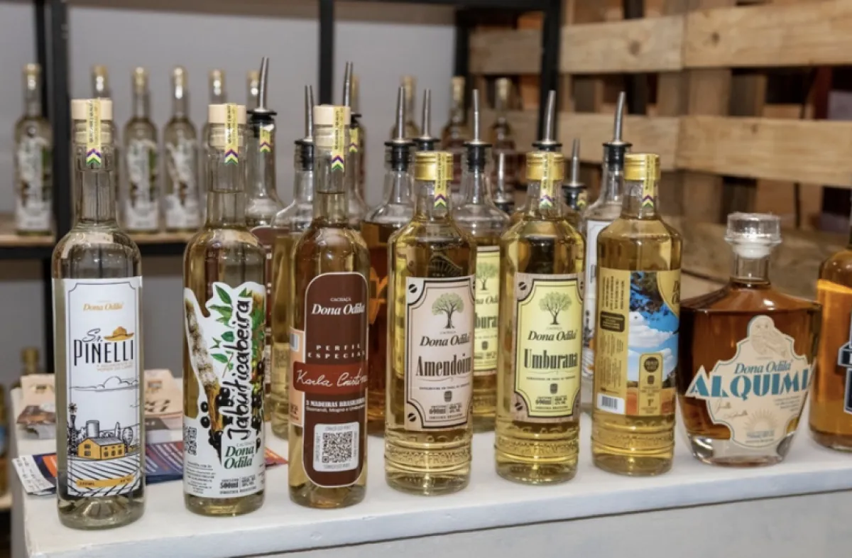 Expocachaça 2026 deve gerar R$ 30 milhões em negócios no setor