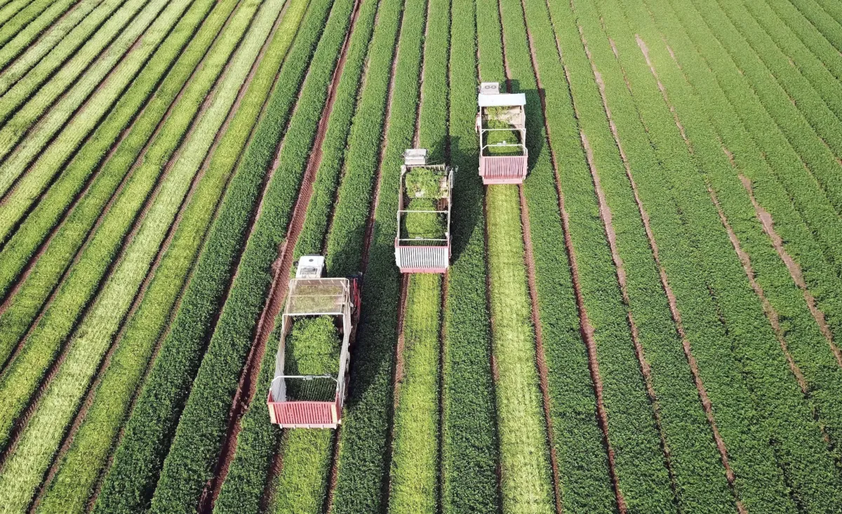 Indústria cai 1,8% em junho com forte retração no maquinário agrícola