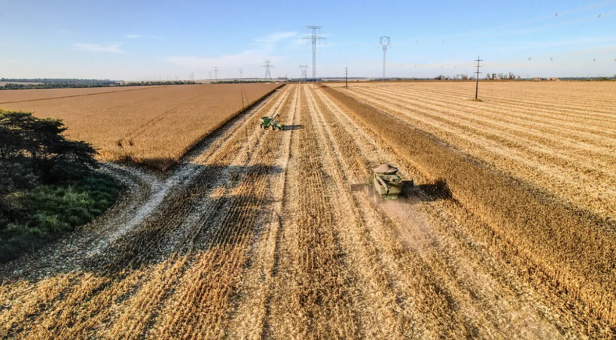 Mato Grosso atinge 99% da colheita e caminha para 57,3 mi t de milho