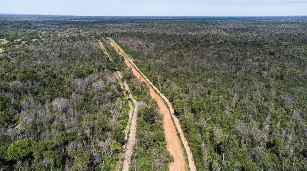 MT atualiza regras para abertura e manutenção de aceiros no Pantanal