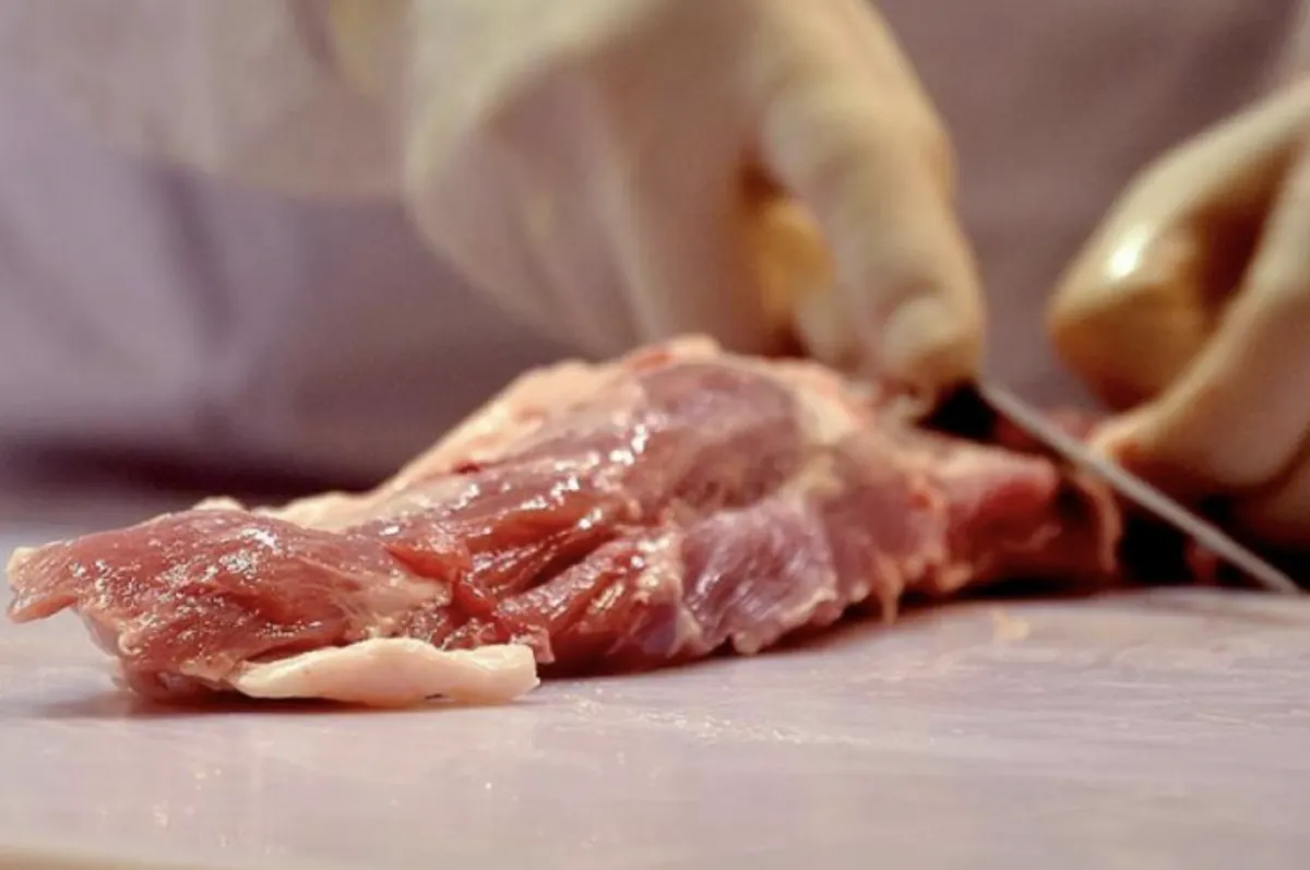 Exportação de carne bovina salta 48% em MS e fatura US$ 1,1 bi