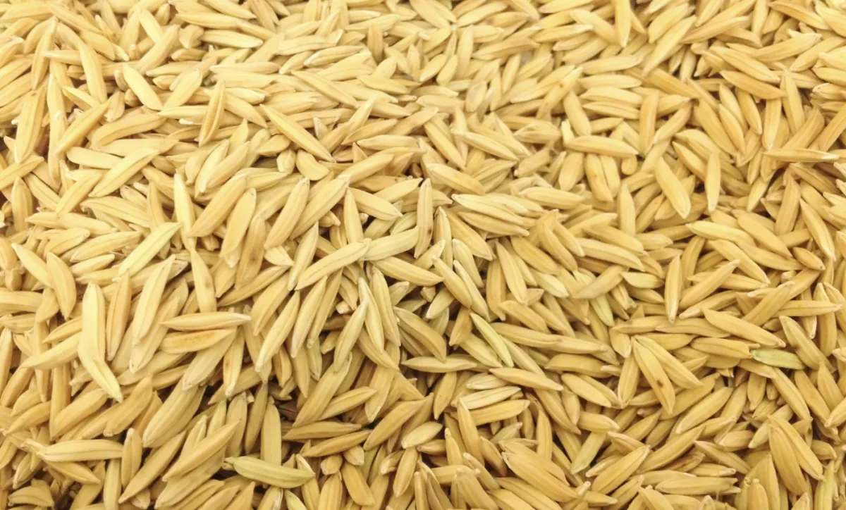 Preço do arroz em casca segue firme no RS e importação avança