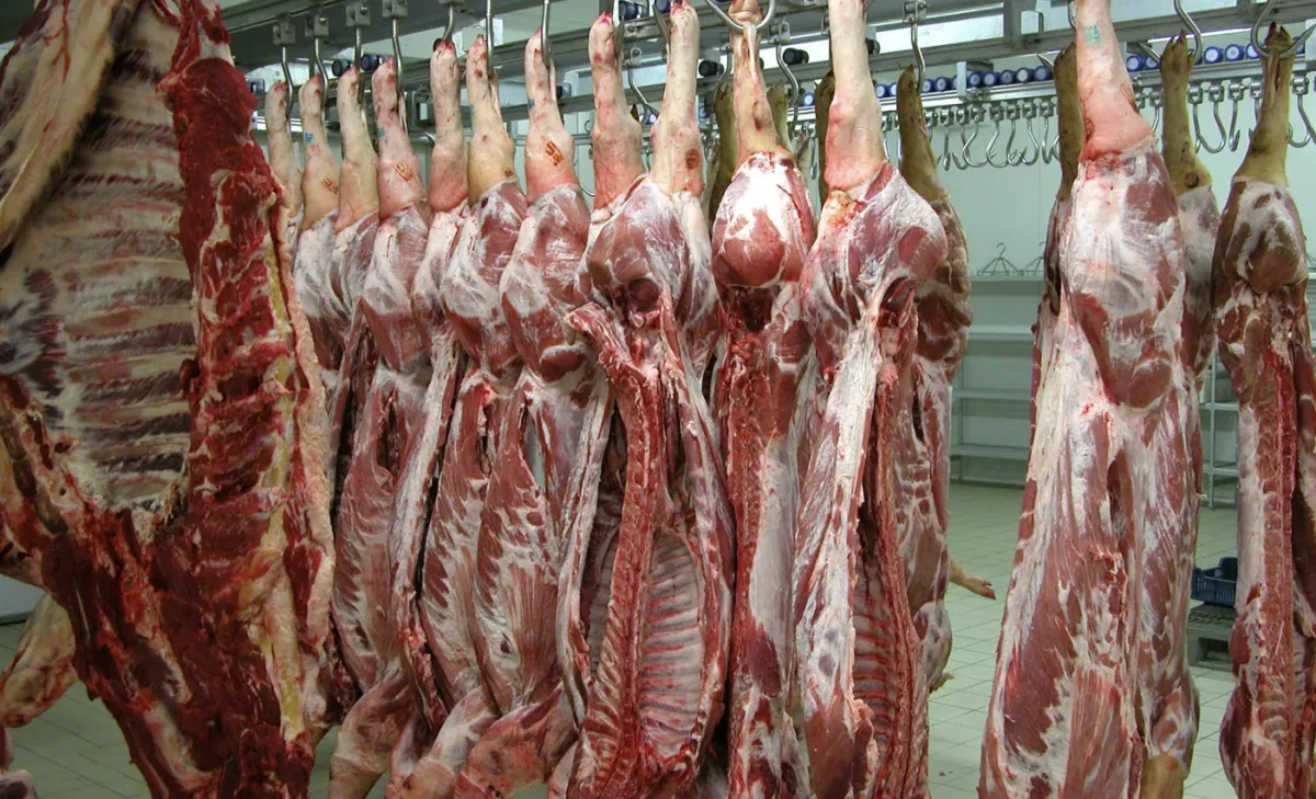 Produção de carne bovina e suína avança no 2º trimestre de 2026
