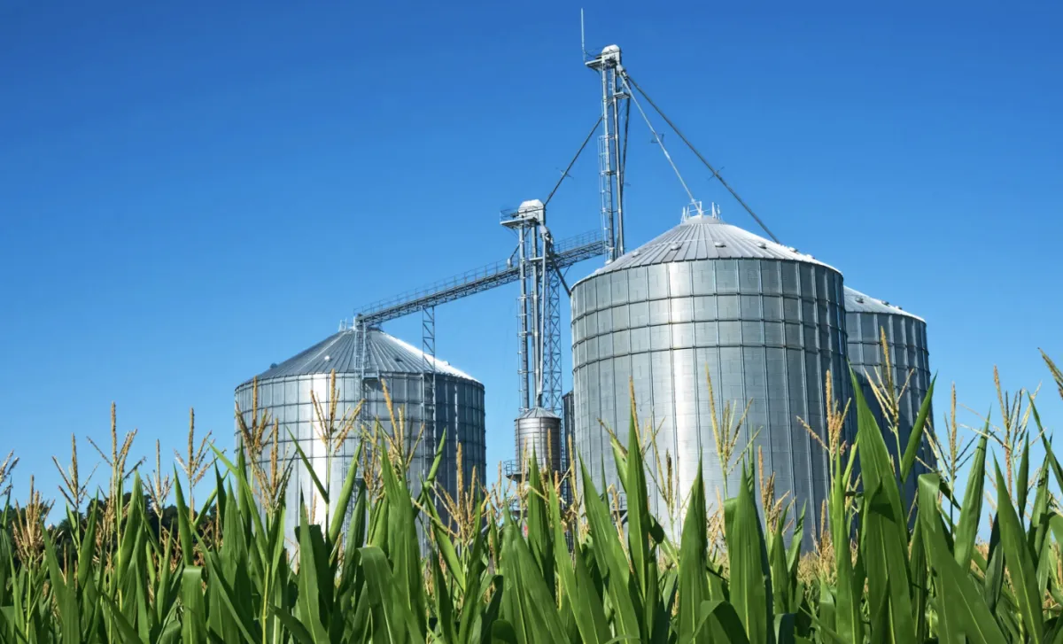 Capacidade de silos no Brasil cobre apenas 65% da safra de grãos