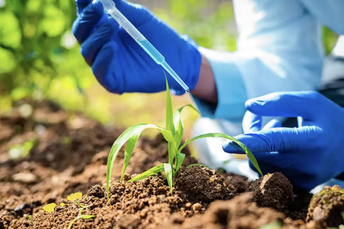 Venda de bioinsumos cresce 9,6% e soma R$ 1,8 bilhão no Brasil