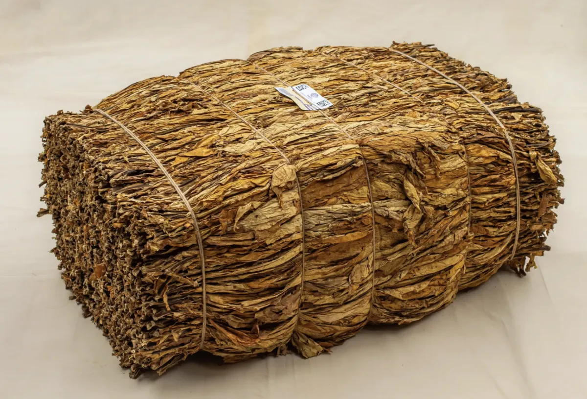 Tabaco brasileiro conclui pré-inspeção para exportar à China