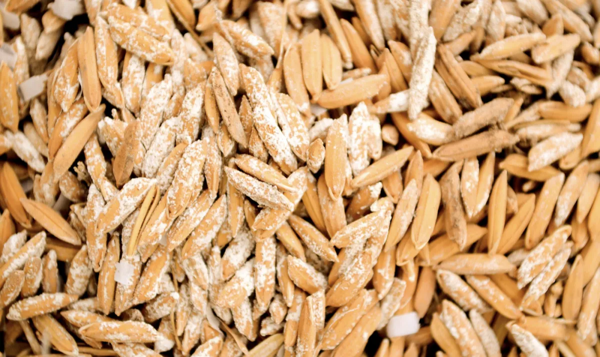 Cotações do arroz sobem em agosto com oferta curta e demanda para exportação
