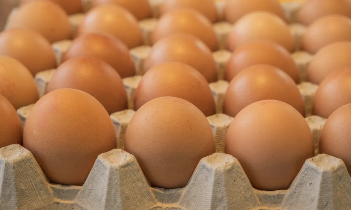 Frango sobe 5,6% no Sul e ovos recuam 13,2% em agosto