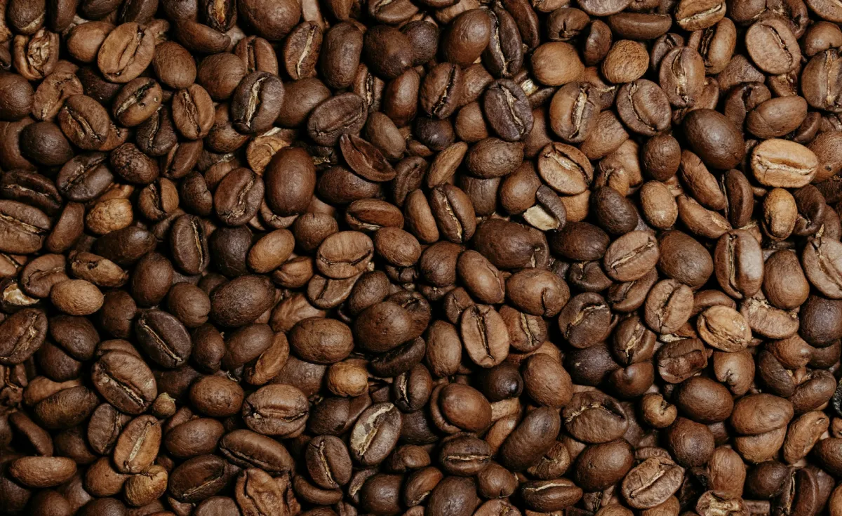 Exportações de café batem recorde com 4,16 milhões de sacas