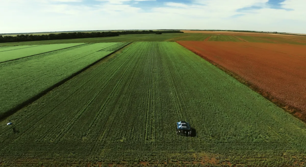 Safra 2026/2027 exige manejo contra clima seco no Cerrado