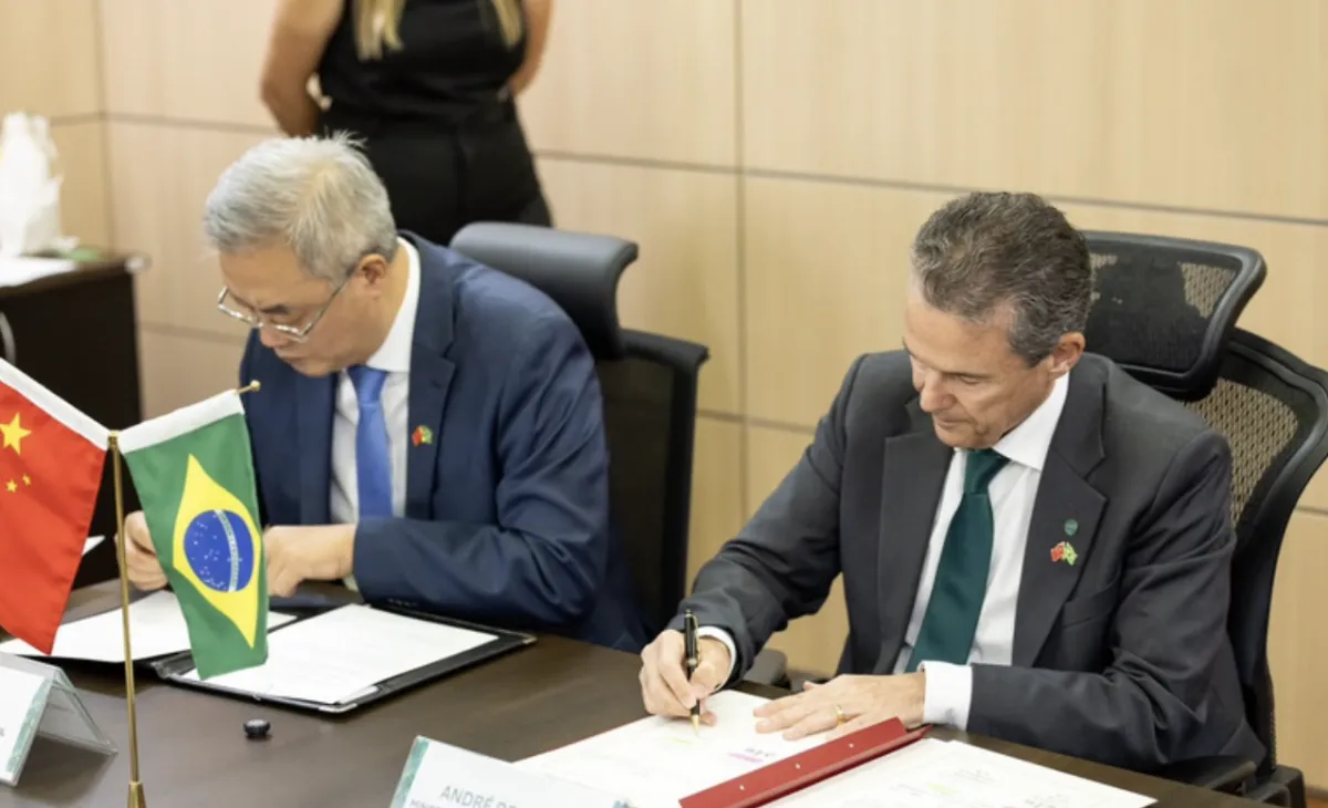 Brasil e China ampliam exportação de miúdos suínos
