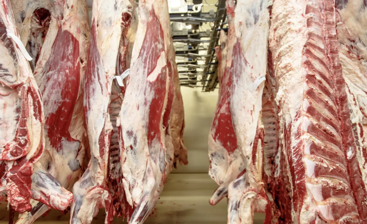 Declaração de Trump abre portas para exportação de carne bovina aos EUA