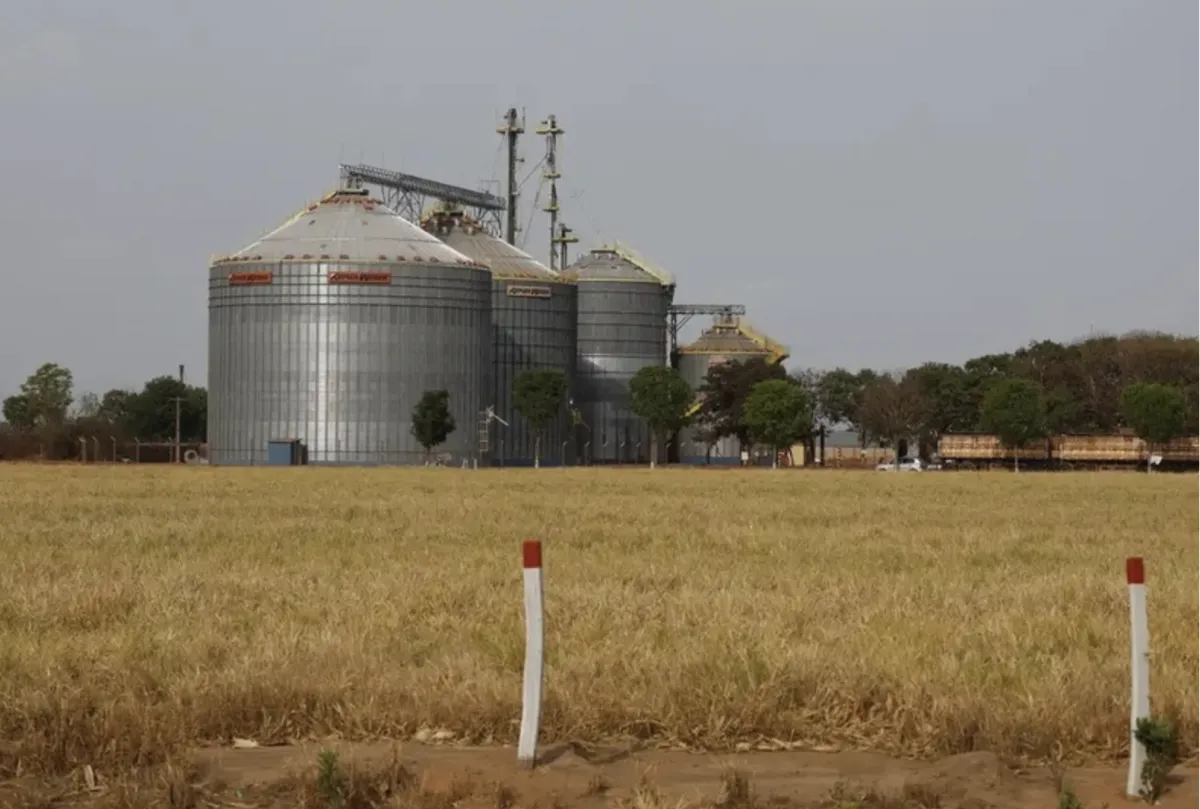 Exportações do Nordeste batem US$ 3 bilhões em agosto